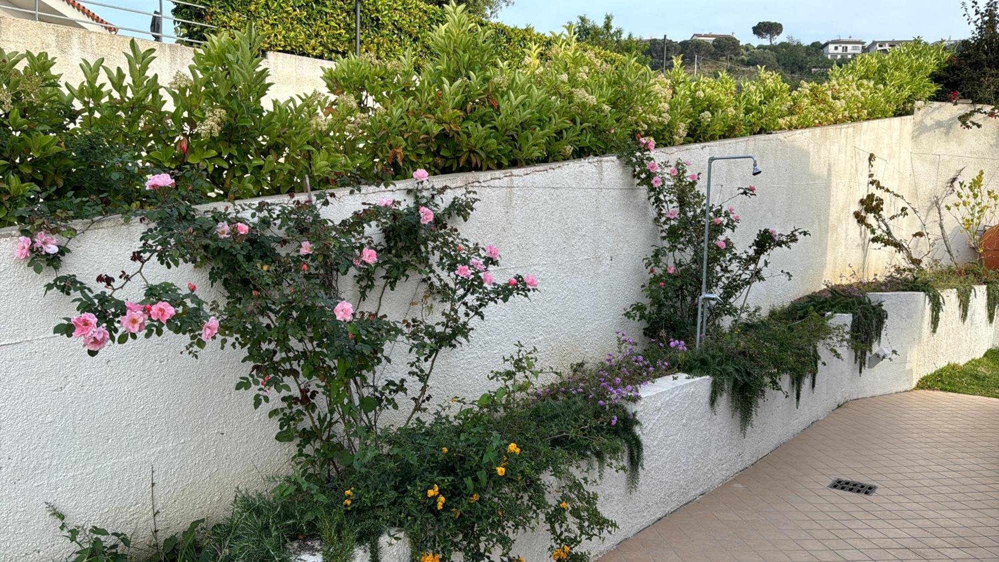 Villa Dei Fiori ザンブローネ エクステリア 写真