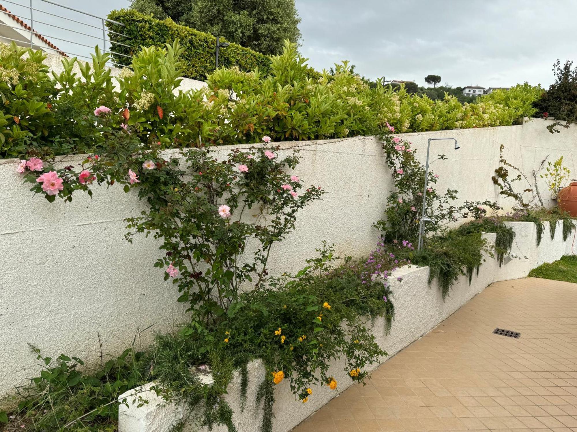 Villa Dei Fiori ザンブローネ エクステリア 写真